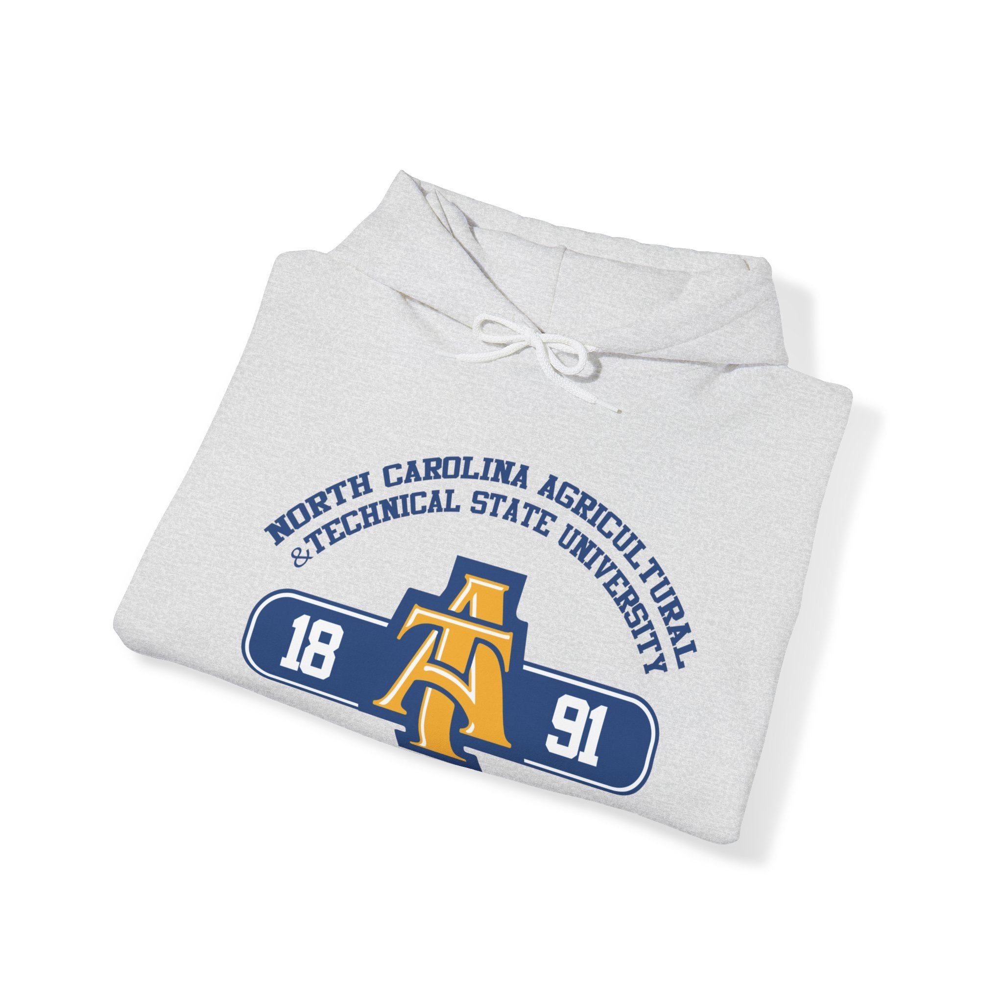 Unisex Heavy Blend™ Hooded Sweatshirt