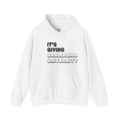 Unisex Heavy Blend™ Hooded Sweatshirt